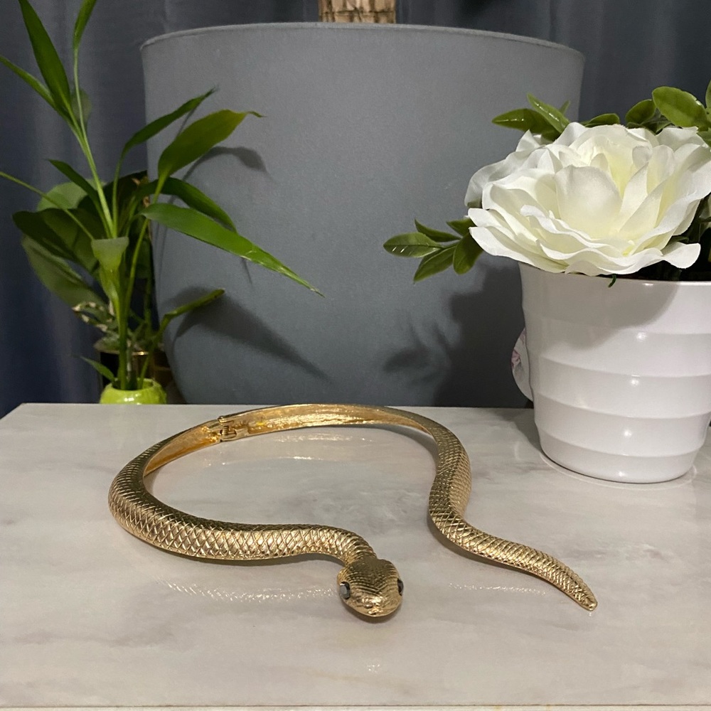 Beautiful snake necklace. Never worn by me. Gorgeous. - Picture 5 of 5